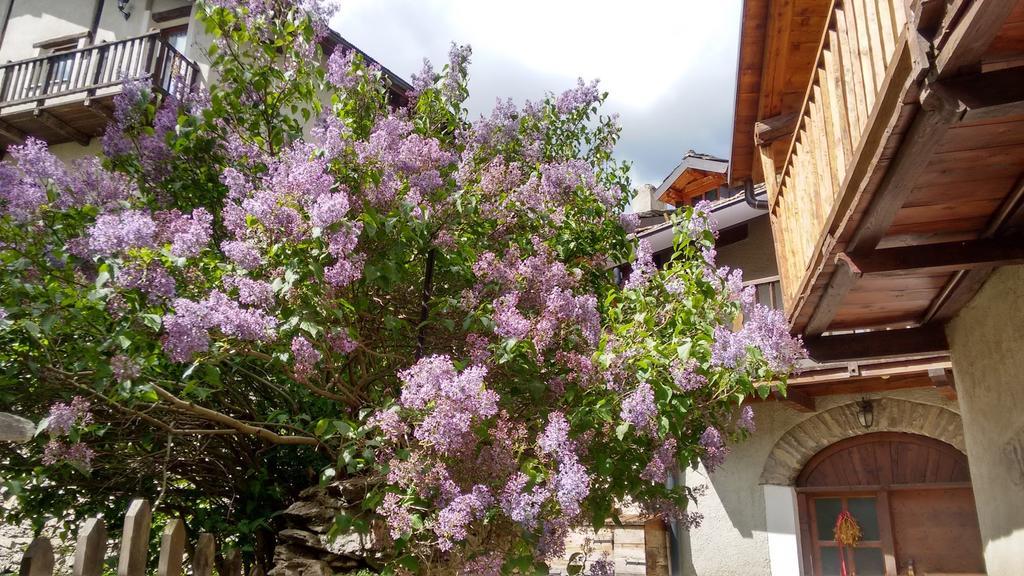 Casa Grande Apartman Pragelato Kültér fotó